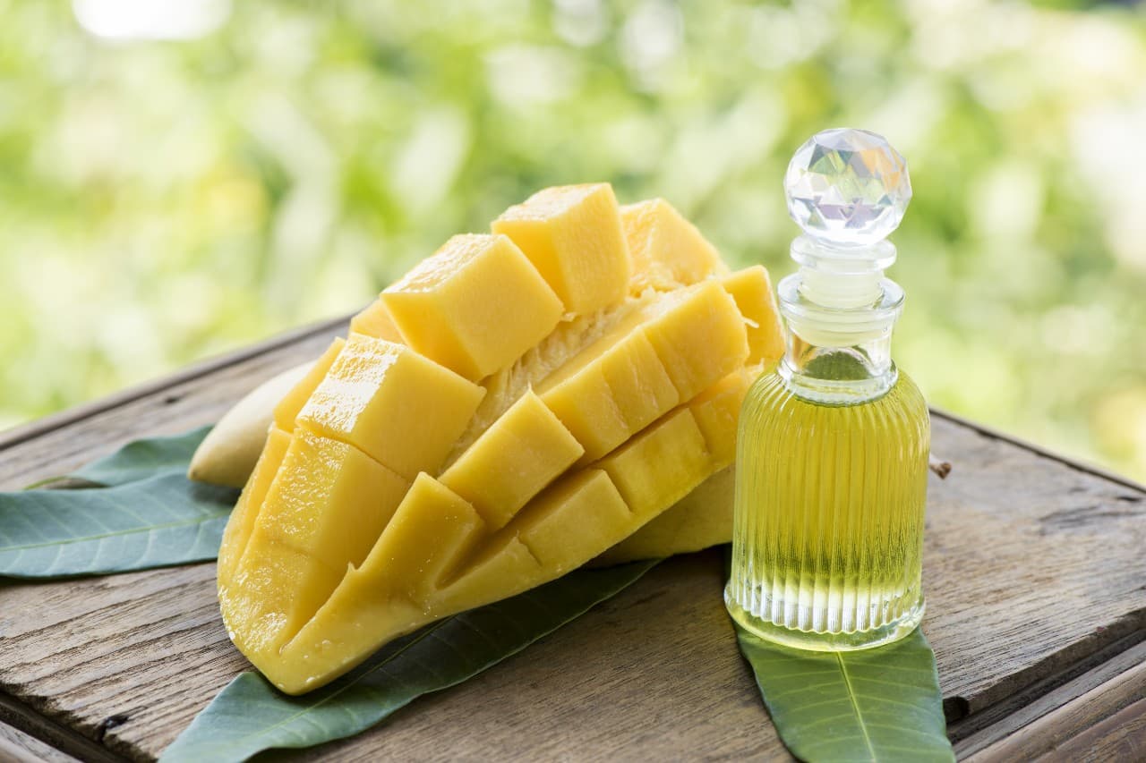 mango seed oil extraction machine mango seed oil extraction machine
